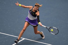 爱游戏官网-科维托娃冠军一览表